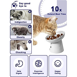 YYHY Y YHY Bol pour Chat en céramique de 15 cm/120 ML avec Alimentation Lente - Blanc