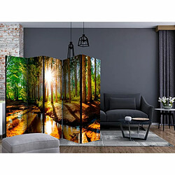 Paris Prix Paravent 5 Volets Marvelous Forest 172x225cm