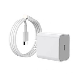 General Chargeur Apple portable - Charge rapide 20 W, design léger et compact, compatible avec iPhone 14/14 Pro Max/13/ 12/11/XS/XR, idéal pour les déplacements(3 pieds) 