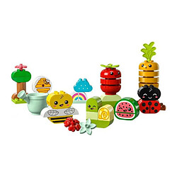 LEGO® Duplo® 10984 Le jardin bio