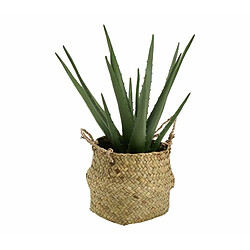 Atmosphera, Createur D'Interieur Aloe avec pot naturel H37cm Beige - ATMOSPHERA