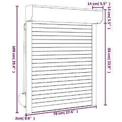 vidaXL Volet roulant aluminium 70x100 cm blanc pas cher