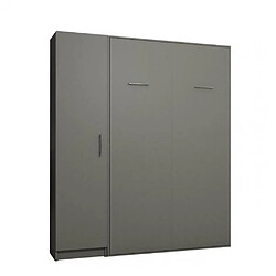 Inside 75 Composition armoire lit escamotable SMART-V2 gris mat Couchage 160 x 200 cm colonne armoire pas cher