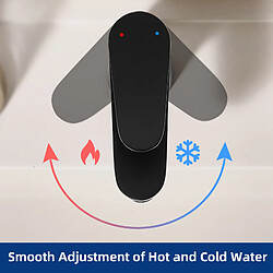 2PCS Cecipa max Robinet de Lavabo Noir Pour Salle de Bain, Robinet de Lavabo économie d'eau, Mitigeur de Lavabo à Poignée Unique,EU Modèle