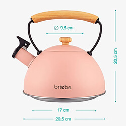 Bouilloire à Induction Théière Sifflet 2,3L Acier Inox. Retro, Poignée en Bois, , Rose, Briebe, Pastel pas cher