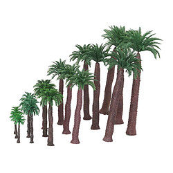 Avis Modèle Palm Trees