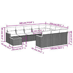 Avis vidaXL Salon de jardin 11 pcs avec coussins noir résine tressée