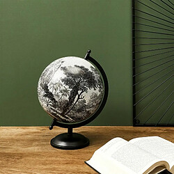 Avis Paris Prix Globe Terrestre Black Forest 31cm Noir & Blanc