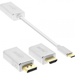 Alpexe Convertisseur d'affichage USB InLine®, 6-en-1, USB Type-C mâle vers DisplayPort femelle, HDMI, VGA (mode alternatif DP), 4K2K, a