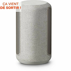 Avis Enceinte Sony SRS-RA3000 Son ambiant immersif - Grise - Reconditionné Premium