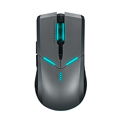 Universal Souris sans fil Souris gaming Omron LED rétroéclairée programmable et rechargeable 4000 DPI Souris d'ordinateur 