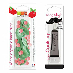 Scrapcooking Décorations en feuille azyme Houx de Noël + Stylo de glaçage noir 