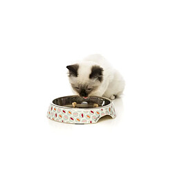 Fuzzyard Gamelle Sushi Delight - Pour Chat