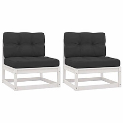 Maison Chic Lot de 2 Canapés centraux de jardin coussins | Canapé d'extérieur | Fauteuil terrasse anthracite -MN51007