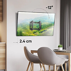 Acheter Onkron Support Mural TV Inclinable pour 13 - 42 Pouces Écrans & TVs, Fixation Murale TV Poids de 35 kg - Accroche Television Mural VESA 75x75 - VESA 200x200 mm/Support Mural TV Universel TME-22B Noir