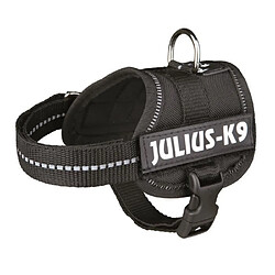 Julius K9 Harnais Power Julius-K9 - Baby 1 - XS : 30-40 cm-18 mm - Noir - Pour chien