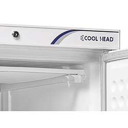 Acheter COOLHEAD Armoire Réfrigérée Négative 600 L - Inox - Cool Head