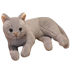 Universal Homemiyn Cat Doll mignon en peluche de fille en peluche fille ragdoll drague cadeau d'anniversaire (30x15x20cm) (gris) 