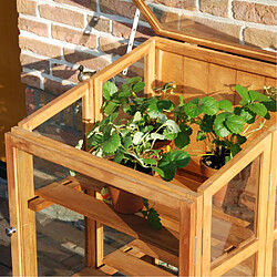 Avis Esschert Design Mini serre de jardin en bois dur 60 cm.