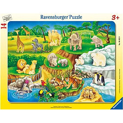 Ravensburger - 06052 - Puzzle Cadre - Visiteau Zoo - 14 Pièces 