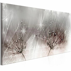 Paris Prix Tableau Imprimé Drops of Dew Pink Wide 45x100cm 