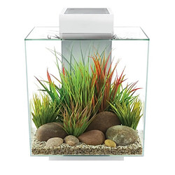 FLUVAL Aquarium Edge 46 L - Blanc brillant