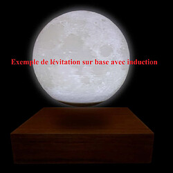 Avis Magneticland Globe Lune MOONFLIGHT 3D lumineux 10cm (accessoire)