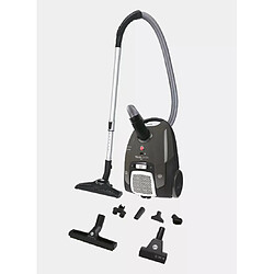 Hoover Aspirateur traineau avec sac - TELIOS EXTRA - TXL21PET