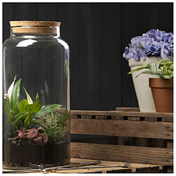 Ac-Deco Bouteille terrarium avec couvercle - 10 L