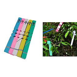 200pcs Coloré En Plastique PVC Plante Arbre Marqueurs D'étiquette Pépinière Légumes étiquettes