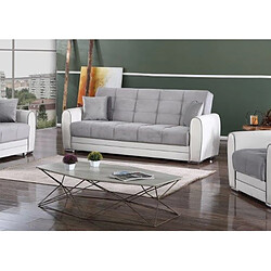 Alter Canapé-lit conteneur 3 places, 220 x 84 x 91h cm, avec structure blanche et assises grises
