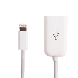 Wewoo Adaptateur blanc pour iPad 4 / mini / mini 2 Retina, Support iOS7 / 8, Longueur: 18cm Câble USB Femelle à Lightning mâle OTG