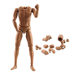 1: 6 Corps Nu Masculin à échelle Articulée 28 Articulations Mobiles Figurine Articulée De 12 "blé