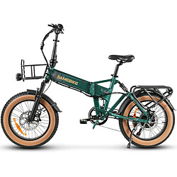 SAMEBIKE XWLX09-II Vélo électrique - moteur 1000W batterie 48V15AH autonomie 65KM frein à disque hydraulique - Vert