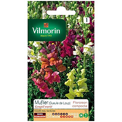 Vilmorin Sachet graines Muflier Gueule de loup Goupil varié