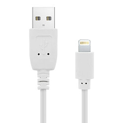 Avizar Câble USB vers iPhone iPad iPod Charge & Synchro Quick Charge 2.0 1,2m - Blanc 