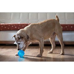 GorFlex Balle à friandises en caoutchouc avec couineur pour chien - 8 cm - Coloris aléatoire