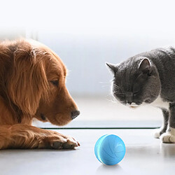 Acheter Jouet De Balle Automatique Et Interactif Wicked Ball, tenez Compagnie À Vos Chiens/chats Toute La Journée, pour L'Intérieur Et L'Extérieur