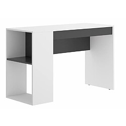 Pegane Bureau 1 tiroir coloris blanc/graphite - Longueur 115 x Profondeur 40 x Hauteur 74 cm