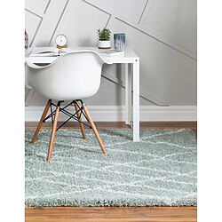 Acheter Hadorn Tapis shaggy 245x160 vert Lachen Fence