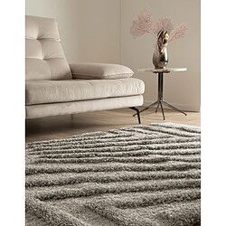 Avis Hadorn Tapis shaggy 245x160 gris Thun Avis