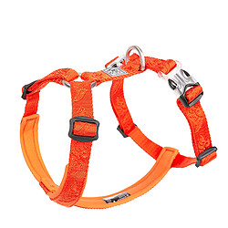 Universal Collier de chien en nylon de créateur et mollusque de reflet de chien de serrure en nylon pour chien de serrure lait de pit | harnais (orange) 