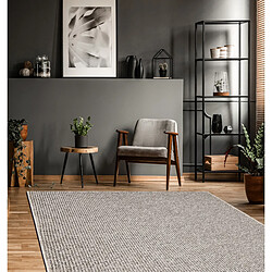 Acheter RUGSX Tapis PRIUS 39 beige 150x300 cm