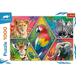 Avis Trefl- Animaux Exotiques 1000 Pièces Château Pont Monuments DIY Divertissement Créatif Cadeau Amusement Puzzles Classiques pour Adultes et Enfants à partir de 12 Ans, 10671, Teile