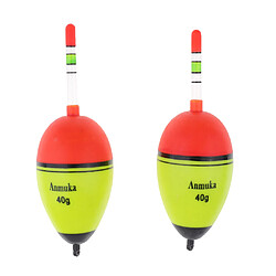 2 pcs lumineux flotteur de pêche vertical rock bouée de pêche en plastique bobber 5g bateau de pêche