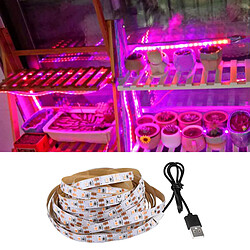 Acheter L'usine 2835 SMD LED élèvent La Serre De Lampe Croissante De Bande Lumineuse DC5V 1.5M