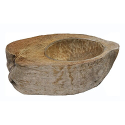 Reptiles Planet Coco Bowl