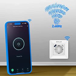 Prise murale Tellur Smart WiFi, 3600W, 16A, PD20W, USB 18W, lecture d'énergie, blanc pas cher