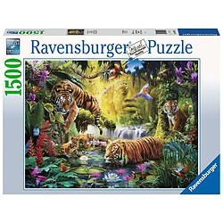 Ravensburger Puzzle Tigres au Plan d'eau 