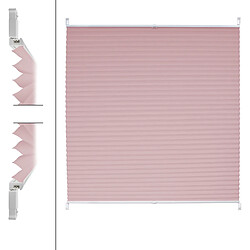 ECD Germany Store Plissé Klemmfix 100 x 100 cm, Rose, sans Perçage, Montage sur Le Cadre de Fenêtres/Portes, Translucide Opaque, Protection Contre Le Soleil, EasyFix, Matériel de Fixation Inclus